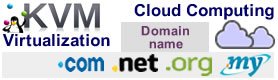 Cloud Computing Virtualization Domain name